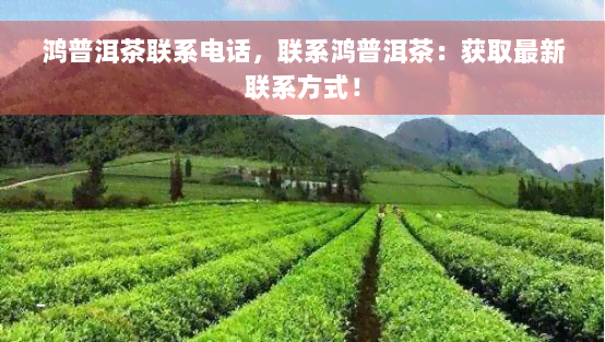 鸿普洱茶联系电话，联系鸿普洱茶：获取最新联系方式！