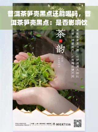 普洱茶笋壳黑点还能喝吗，普洱茶笋壳黑点：是否影响饮用？