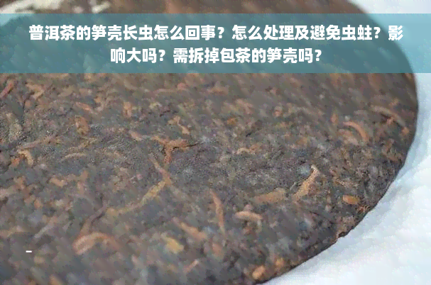 普洱茶的笋壳长虫怎么回事？怎么处理及避免虫蛀？影响大吗？需拆掉包茶的笋壳吗？