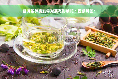 普洱茶笋壳发霉对茶有影响吗？视频解答！