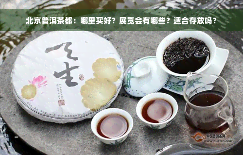 北京普洱茶都：哪里买好？展览会有哪些？适合存放吗？