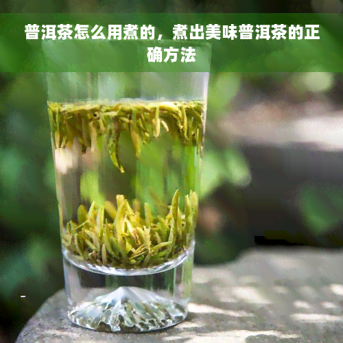 普洱茶怎么用煮的，煮出美味普洱茶的正确方法