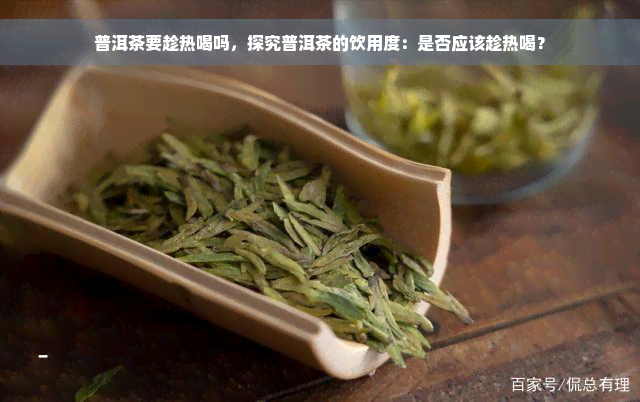 普洱茶要趁热喝吗，探究普洱茶的饮用度：是否应该趁热喝？