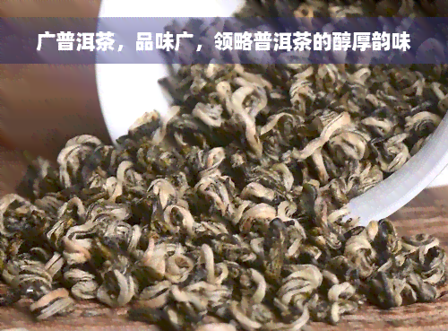 广普洱茶，品味广，领略普洱茶的醇厚韵味