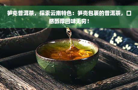 笋壳普洱茶，探索云南特色：笋壳包裹的普洱茶，口感醇厚回味无穷！