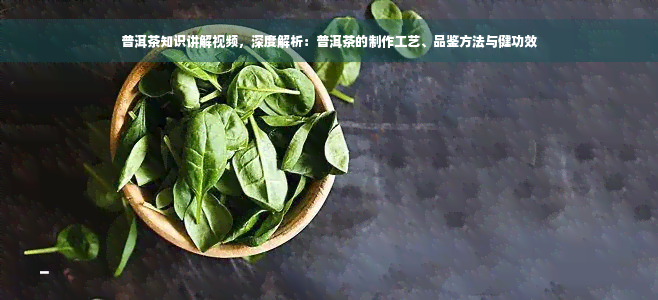 普洱茶知识讲解视频，深度解析：普洱茶的制作工艺、品鉴方法与健功效