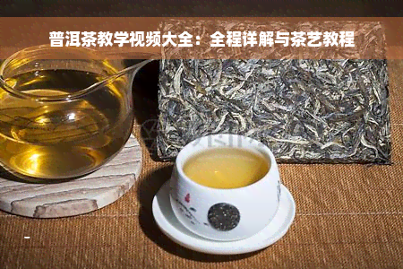 普洱茶教学视频大全：全程详解与茶艺教程