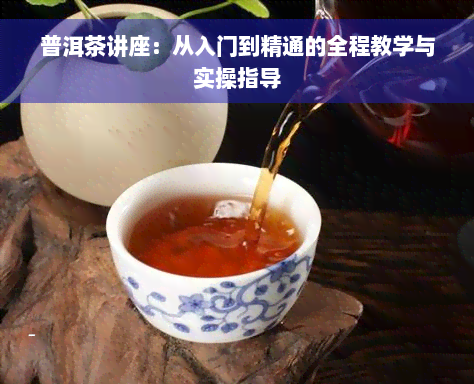 普洱茶讲座：从入门到精通的全程教学与实操指导