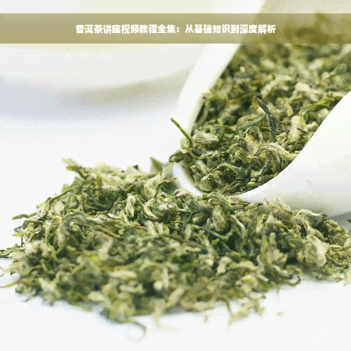 普洱茶讲座视频教程全集：从基础知识到深度解析