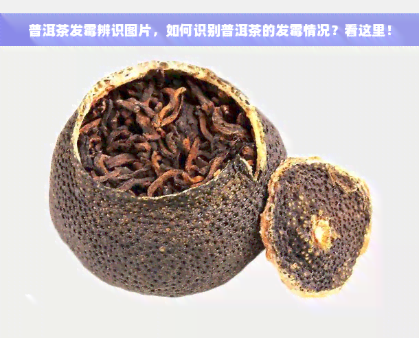 普洱茶发霉辨识图片，如何识别普洱茶的发霉情况？看这里！