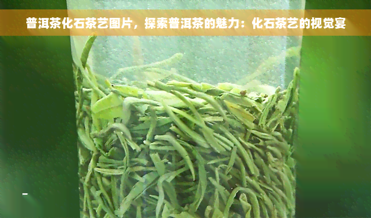 普洱茶化石茶艺图片，探索普洱茶的魅力：化石茶艺的视觉宴