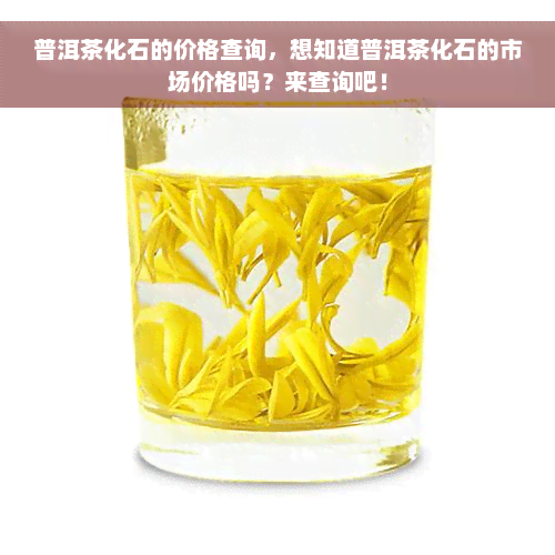 普洱茶化石的价格查询，想知道普洱茶化石的市场价格吗？来查询吧！