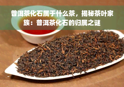 普洱茶化石属于什么茶，揭秘茶叶家族：普洱茶化石的归属之谜