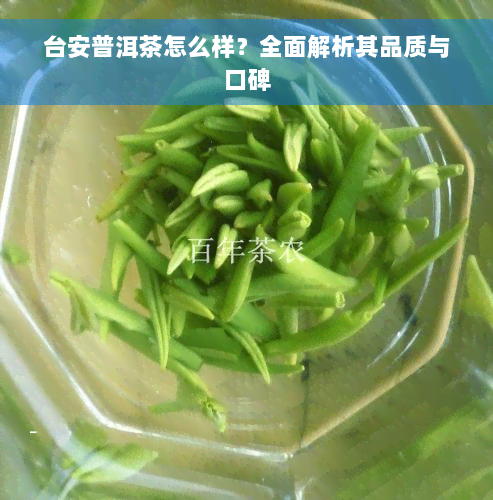 台安普洱茶怎么样？全面解析其品质与口碑