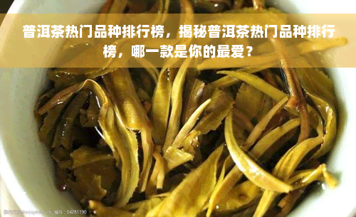 普洱茶热门品种排行榜，揭秘普洱茶热门品种排行榜，哪一款是你的更爱？