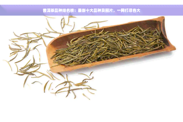 普洱茶品种排名榜：最新十大品种及图片，一网打尽各大