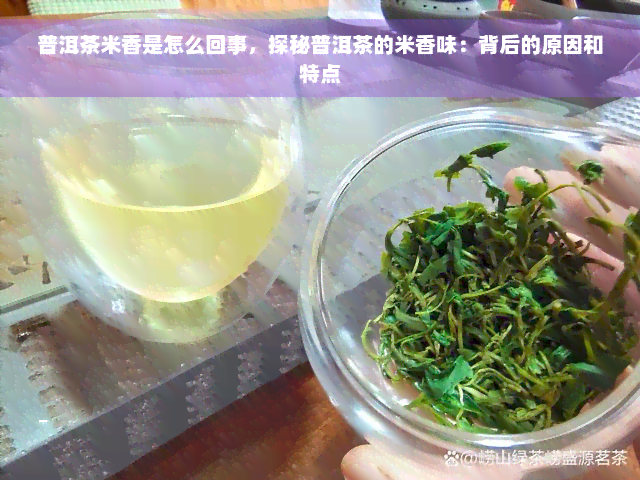 普洱茶米香是怎么回事，探秘普洱茶的米香味：背后的原因和特点