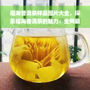 福海普洱茶样品图片大全，探索福海普洱茶的魅力：全网最全样品图片大 *** ！