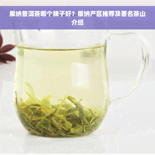 版纳普洱茶哪个牌子好？版纳产区推荐及著名茶山介绍