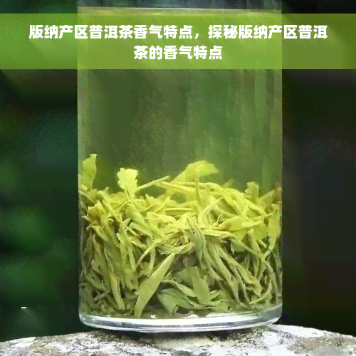 版纳产区普洱茶香气特点，探秘版纳产区普洱茶的香气特点