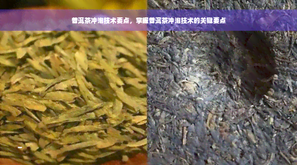 普洱茶冲泡技术要点，掌握普洱茶冲泡技术的关键要点