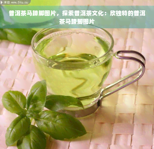 普洱茶马蹄脚图片，探索普洱茶文化：欣独特的普洱茶马蹄脚图片