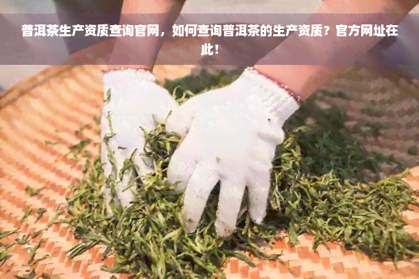 普洱茶生产资质查询官网，如何查询普洱茶的生产资质？官方网址在此！