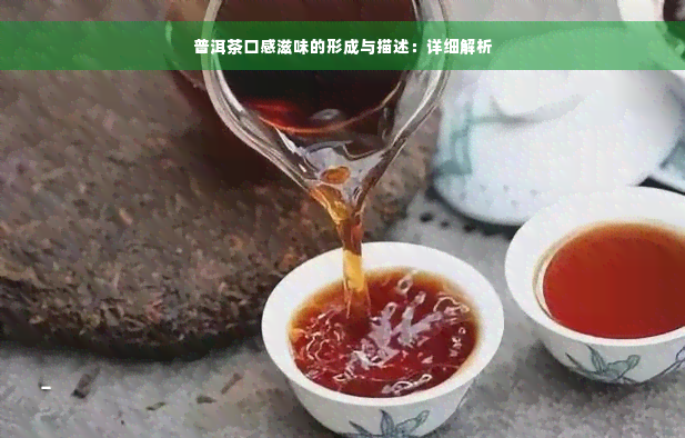 普洱茶口感滋味的形成与描述：详细解析