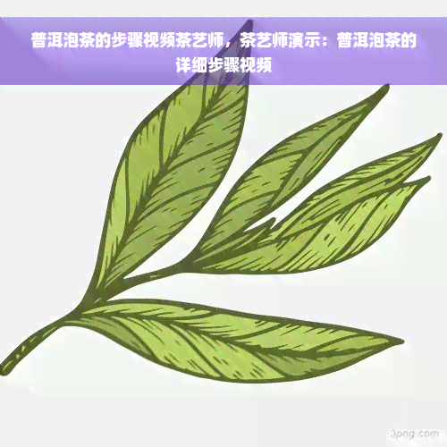 普洱泡茶的步骤视频茶艺师，茶艺师演示：普洱泡茶的详细步骤视频