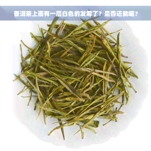 普洱茶上面有一层白色的发霉了？是否还能喝？