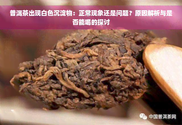 普洱茶出现白色沉淀物：正常现象还是问题？原因解析与是否能喝的探讨