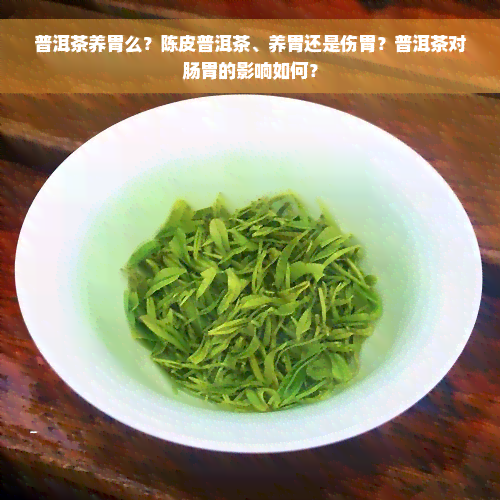 普洱茶养胃么？陈皮普洱茶、养胃还是伤胃？普洱茶对肠胃的影响如何？