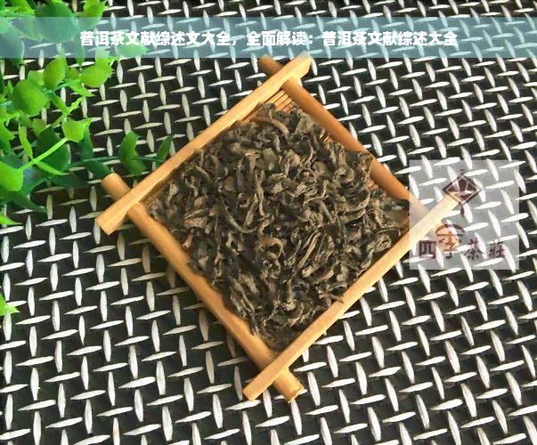 普洱茶文献综述文大全，全面解读：普洱茶文献综述大全