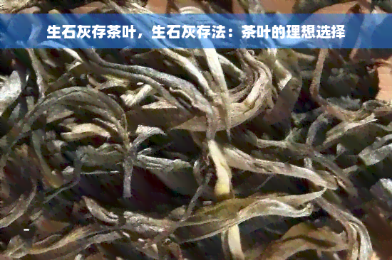 生石灰存茶叶，生石灰存法：茶叶的理想选择