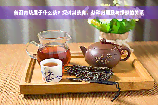 普洱青茶属于什么茶？探讨其茶类、茶种归属及与绿茶的关系