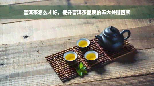 普洱茶怎么才好，提升普洱茶品质的五大关键因素