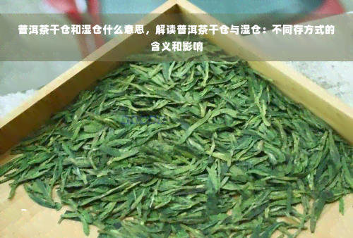 普洱茶干仓和湿仓什么意思，解读普洱茶干仓与湿仓：不同存方式的含义和影响