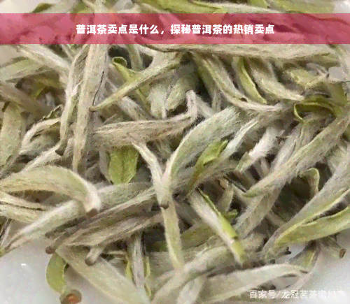 普洱茶卖点是什么，探秘普洱茶的热销卖点