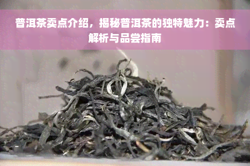 普洱茶卖点介绍，揭秘普洱茶的独特魅力：卖点解析与品尝指南