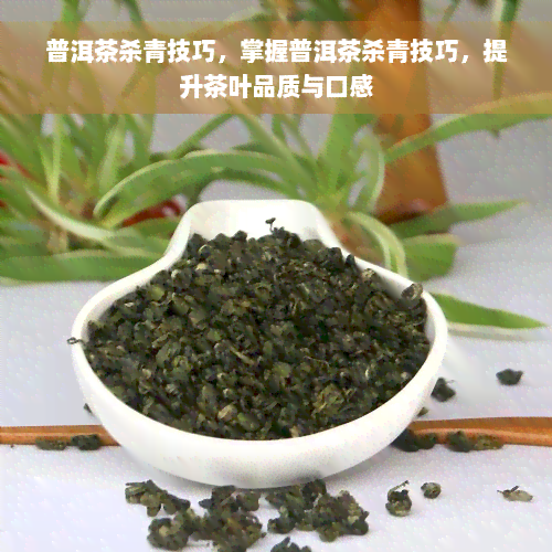 普洱茶杀青技巧，掌握普洱茶杀青技巧，提升茶叶品质与口感