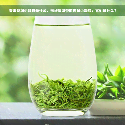 普洱茶细小颗粒是什么，揭秘普洱茶的神秘小颗粒：它们是什么？