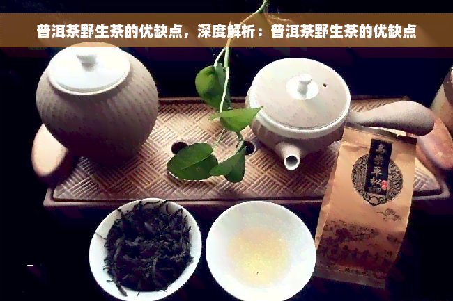 普洱茶野生茶的优缺点，深度解析：普洱茶野生茶的优缺点