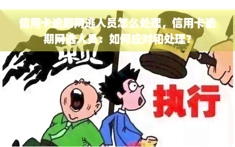 信用卡逾期网逃人员怎么处理，信用卡逾期网逃人员：如何应对和处理？