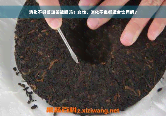 消化不好普洱茶能喝吗？女性、消化不良都适合饮用吗？