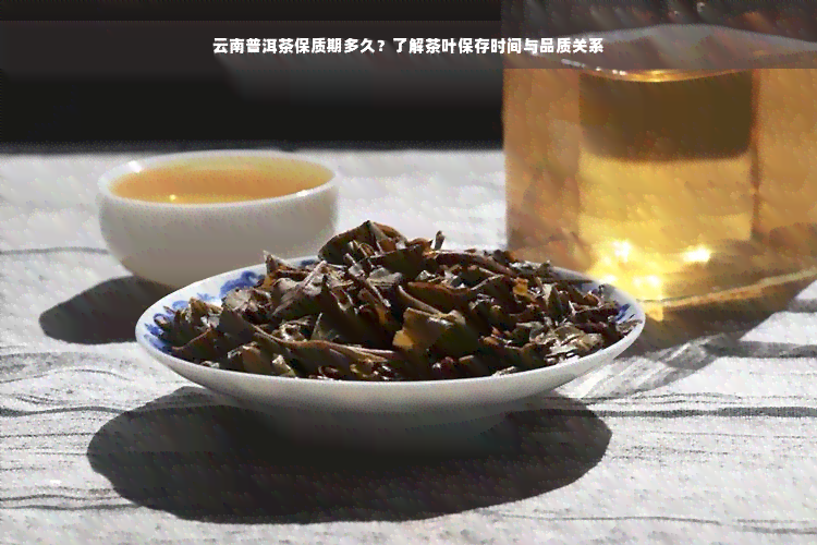 云南普洱茶保质期多久？了解茶叶保存时间与品质关系