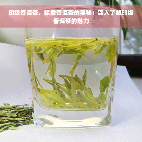 印级普洱茶，探索普洱茶的奥秘：深入了解印级普洱茶的魅力