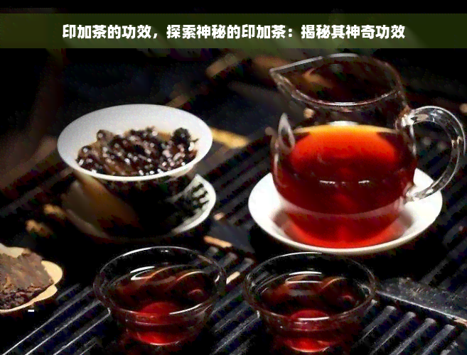 印加茶的功效，探索神秘的印加茶：揭秘其神奇功效