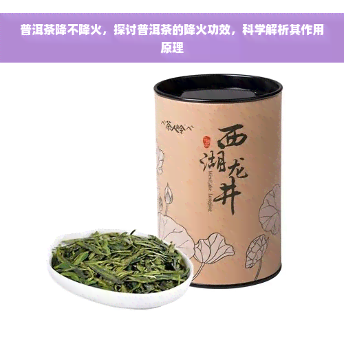 普洱茶降不降火，探讨普洱茶的降火功效，科学解析其作用原理