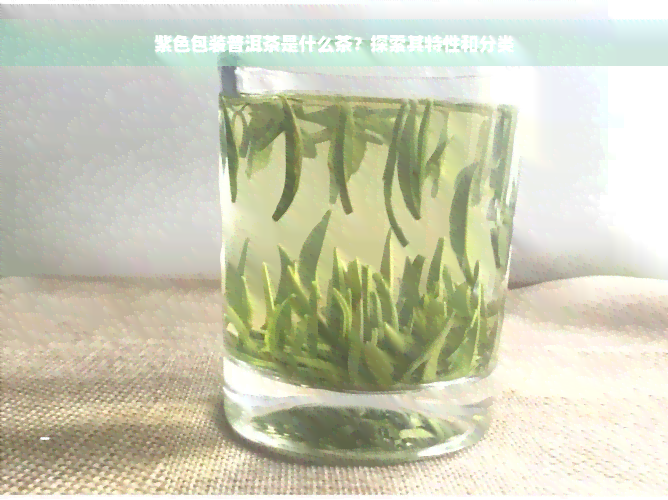 紫色包装普洱茶是什么茶？探索其特性和分类