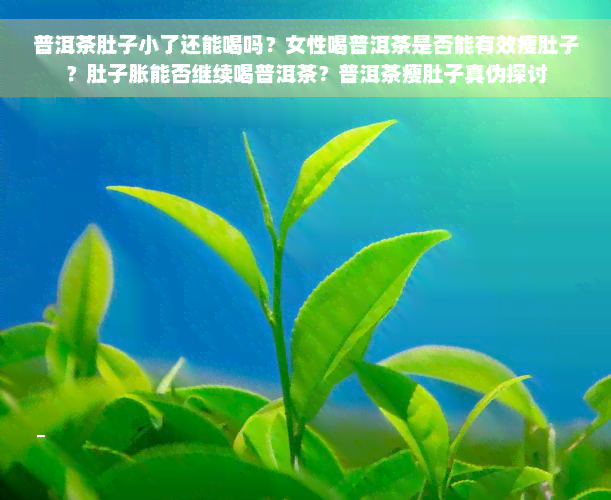 普洱茶肚子小了还能喝吗？女性喝普洱茶是否能有效瘦肚子？肚子胀能否继续喝普洱茶？普洱茶瘦肚子真伪探讨